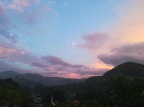Ella Zenith View
